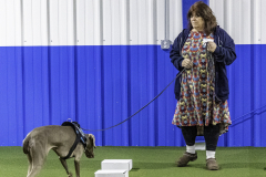 2022-Fall-ScentWork-Trial-148
