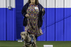 2022-Fall-ScentWork-Trial-149