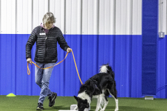 2022-Fall-ScentWork-Trial-155