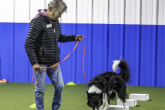 2022-Fall-ScentWork-Trial-156