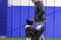 2022-Fall-ScentWork-Trial-157