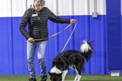2022-Fall-ScentWork-Trial-160