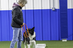 2022-Fall-ScentWork-Trial-162