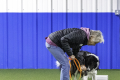 2022-Fall-ScentWork-Trial-163