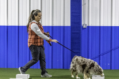 2022-Fall-ScentWork-Trial-166