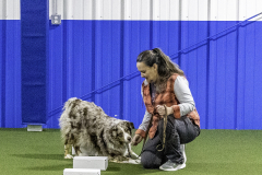 2022-Fall-ScentWork-Trial-168