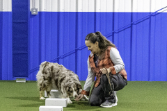 2022-Fall-ScentWork-Trial-169