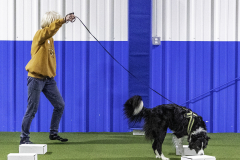 2022-Fall-ScentWork-Trial-172