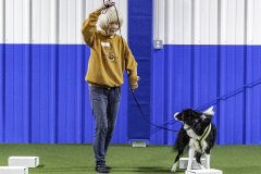 2022-Fall-ScentWork-Trial-173