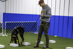 2022-Fall-ScentWork-Trial-180