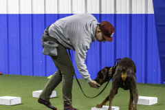 2022-Fall-ScentWork-Trial-182