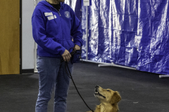 2022-Fall-ScentWork-Trial-214