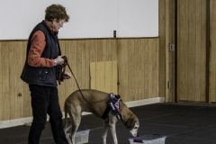 2022-Fall-ScentWork-Trial-224