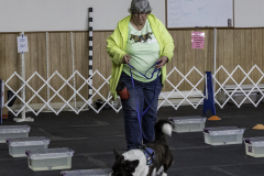 2022-Fall-ScentWork-Trial-252