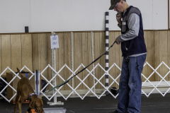 2022-Fall-ScentWork-Trial-276