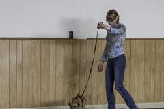2022-Fall-ScentWork-Trial-299