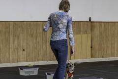 2022-Fall-ScentWork-Trial-300