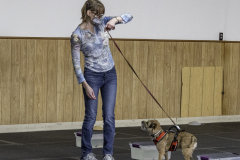 2022-Fall-ScentWork-Trial-301