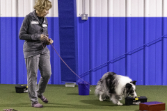 2022-Fall-ScentWork-Trial-368