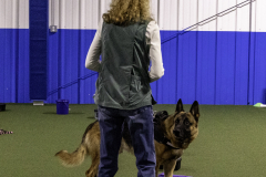 2022-Fall-ScentWork-Trial-374