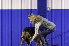2022-Fall-ScentWork-Trial-377