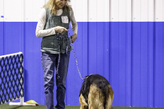 2022-Fall-ScentWork-Trial-378