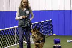 2022-Fall-ScentWork-Trial-379