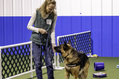 2022-Fall-ScentWork-Trial-380
