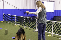2022-Fall-ScentWork-Trial-381