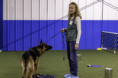 2022-Fall-ScentWork-Trial-385