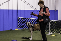 2022-Fall-ScentWork-Trial-392