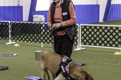2022-Fall-ScentWork-Trial-393