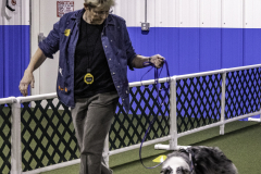 2022-Fall-ScentWork-Trial-406