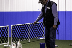 2022-Fall-ScentWork-Trial-430