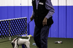 2022-Fall-ScentWork-Trial-432
