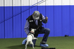 2022-Fall-ScentWork-Trial-435