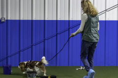 2022-Fall-ScentWork-Trial-440