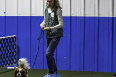 2022-Fall-ScentWork-Trial-441