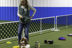 2022-Fall-ScentWork-Trial-442