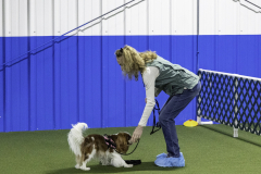 2022-Fall-ScentWork-Trial-446