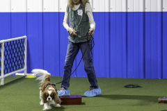 2022-Fall-ScentWork-Trial-449