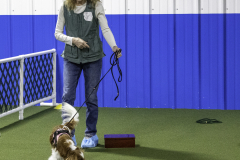 2022-Fall-ScentWork-Trial-450