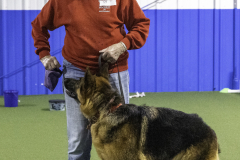 2022-Fall-ScentWork-Trial-457