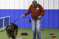 2022-Fall-ScentWork-Trial-462