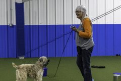 2022-Fall-ScentWork-Trial-475