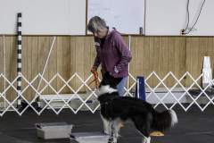 2022-Fall-ScentWork-Trial-483