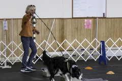 2022-Fall-ScentWork-Trial-493