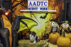 2022-Fall-ScentWork-Trial-506