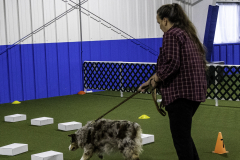 2022-Fall-ScentWork-Trial-579