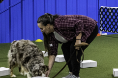 2022-Fall-ScentWork-Trial-583